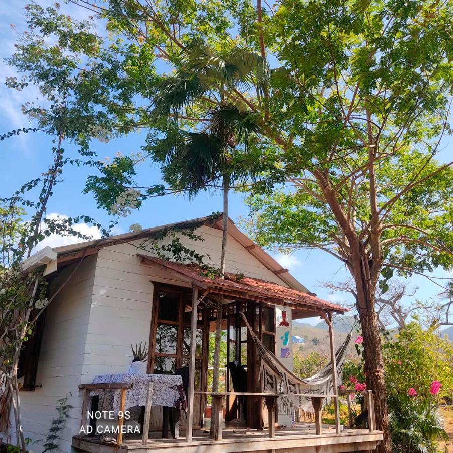 Animal Paradise Archibolds Ngoại thất bức ảnh